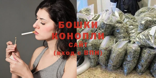 сатива Медвежьегорск